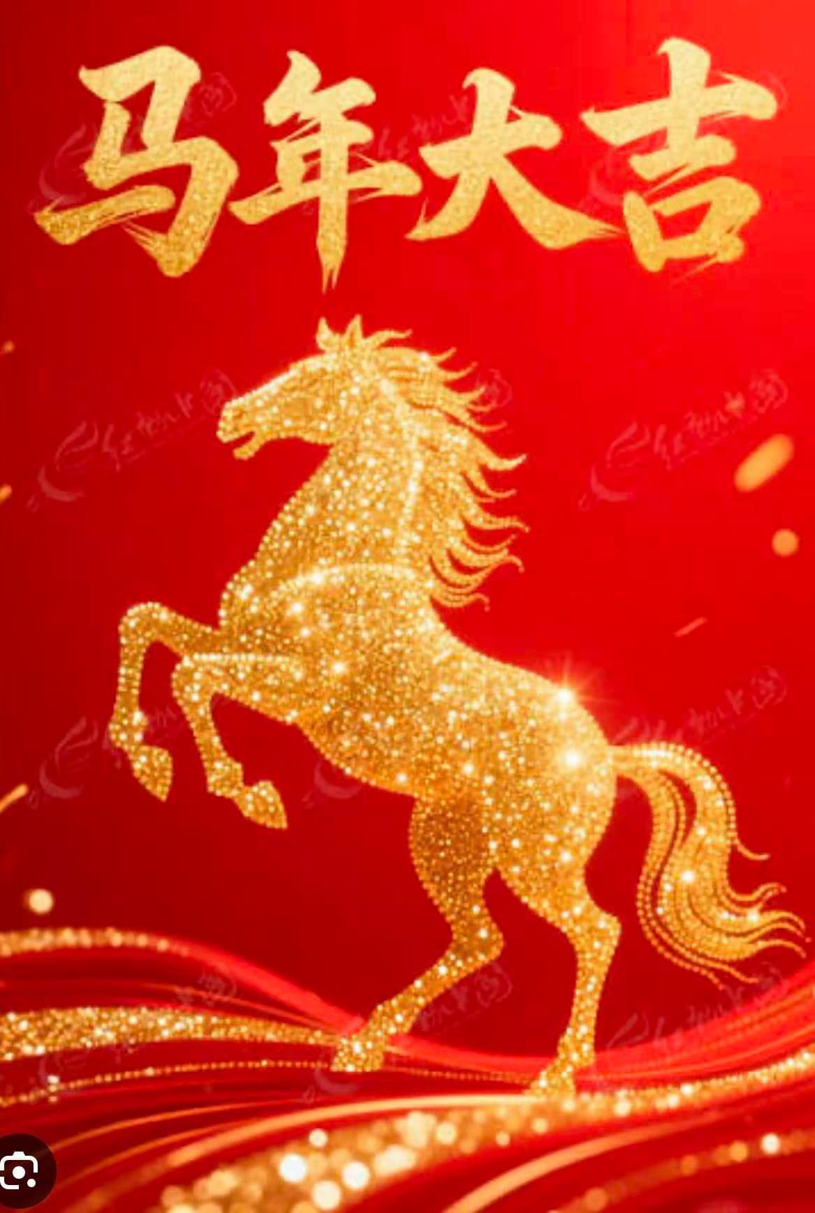 CCHPA members and families at the 2026 Chinese New Year Gathering, photograph 7